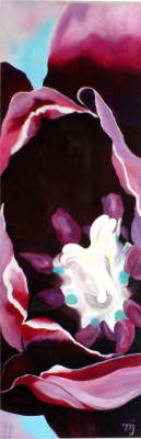 Tulpe_Lila_II