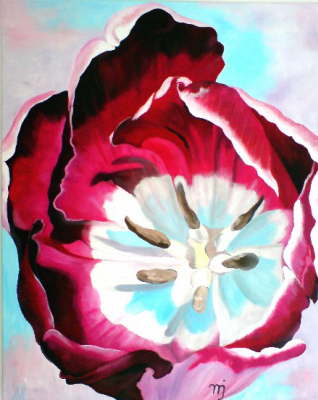 Tulpe_Pink