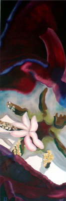 Tulpe_mit_Schatten