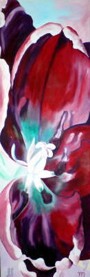 Tulpe_offen_Lila