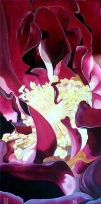 Viola_Rose_im_Fokus