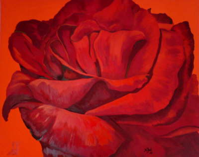 rot